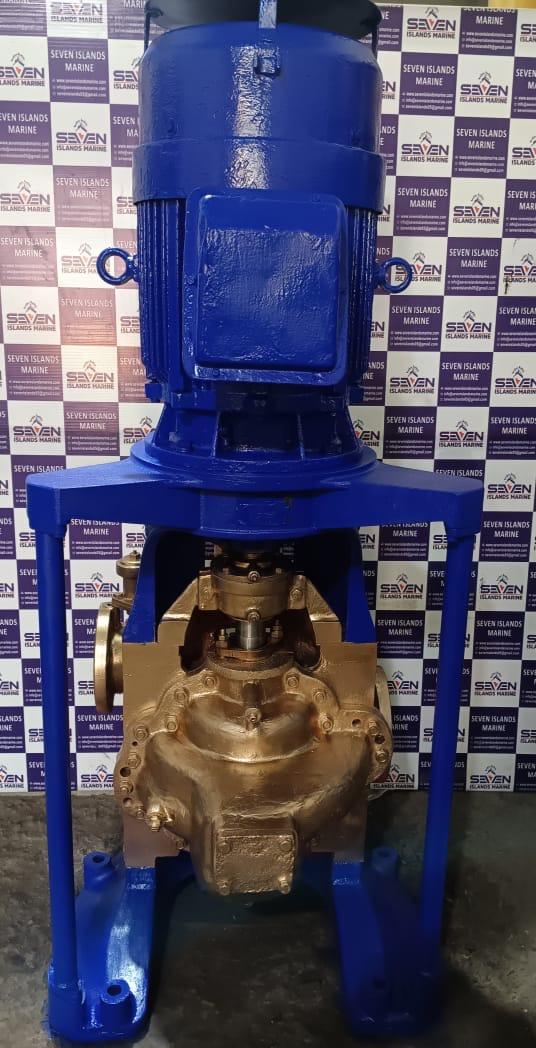 NANIWA FB2V-125 FIRE & GS PUMP