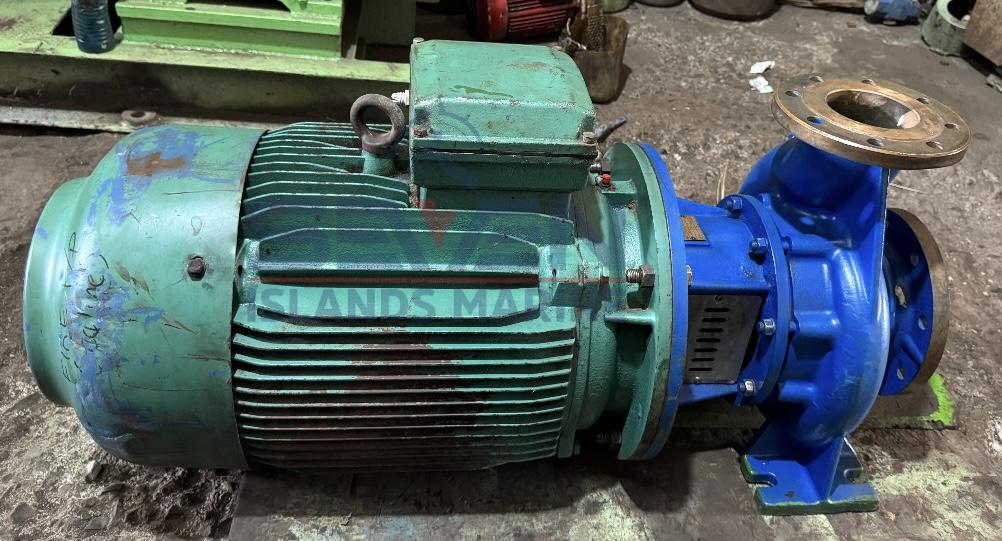 VN PUMPEN VN HZP 100-300 SEA WATER PUMP (BRONZE CASING)