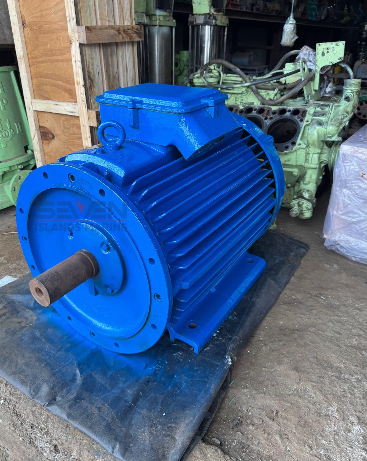 LONNE 99 Kw 1750 rpm VERTICAL ELECTRIC MOTOR