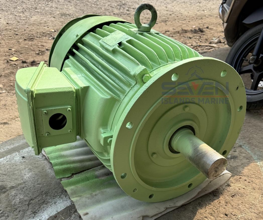 TECO 37 kW Flange Mounted Electric Motor